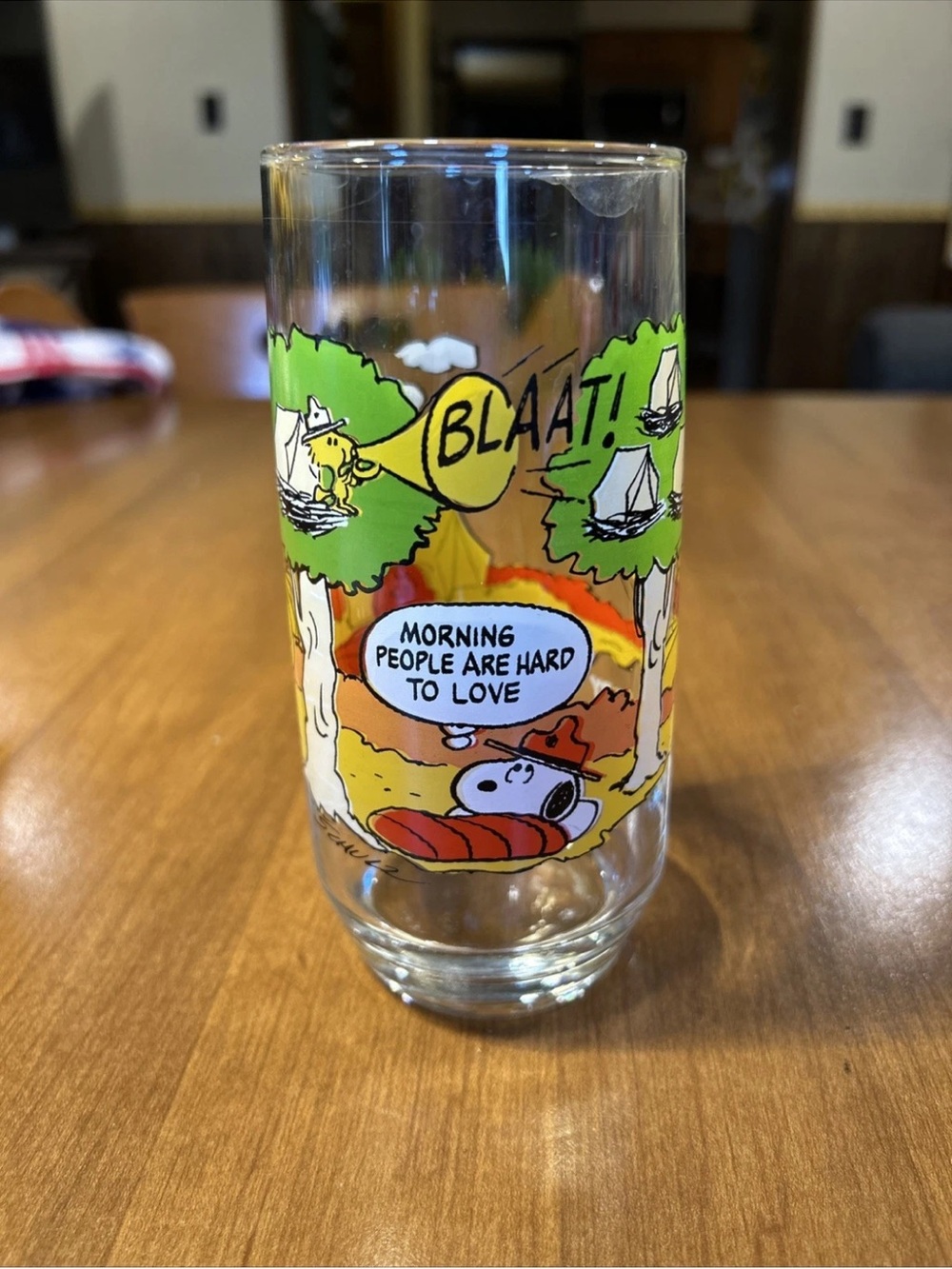 Camp Snoopy Glass 1965